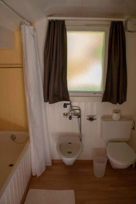 Caroline Apartment